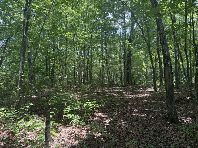 0 Wilder Hwy, Wilder, TN 38589