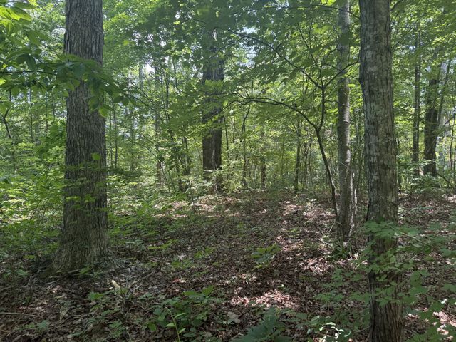 0 Wilder Hwy, Wilder, TN 38589