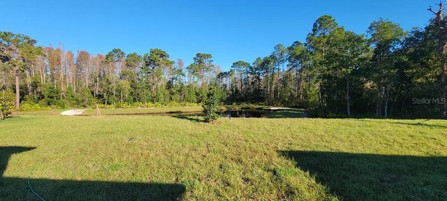 10083 GENTLE RAIN DRIVE, Land O Lakes, FL 34638