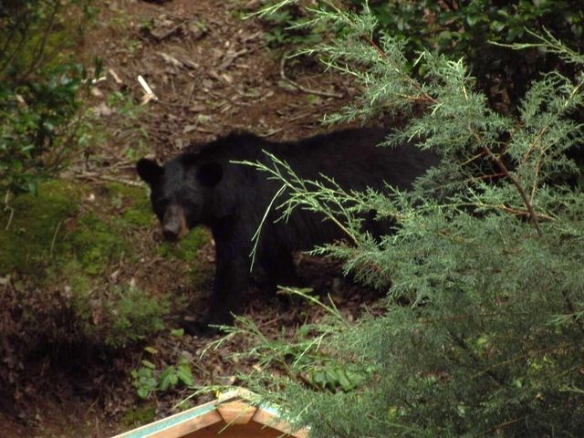 438 E Price Creek Road, Jasper, GA 30143