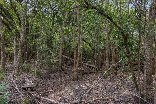 000 Schuster Road, Round Top, TX 78954
