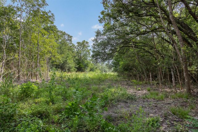 000 Schuster Road, Round Top, TX 78954