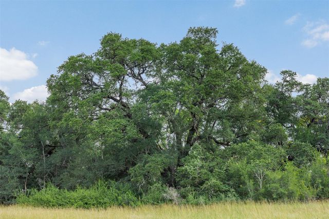 000 Schuster Road, Round Top, TX 78954