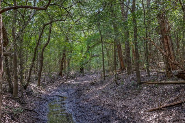 000 Schuster Road, Round Top, TX 78954
