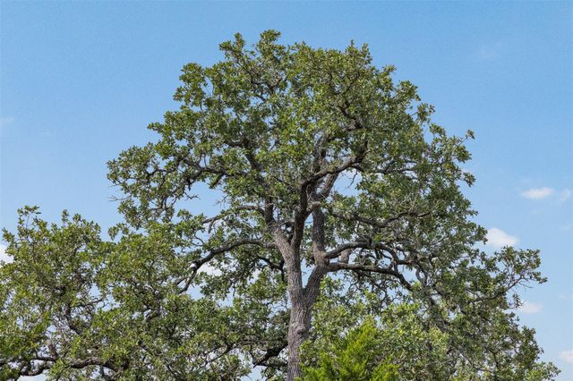 000 Schuster Road, Round Top, TX 78954