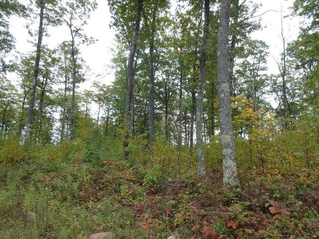 Near Half Mile Road, Herbster, WI 54844