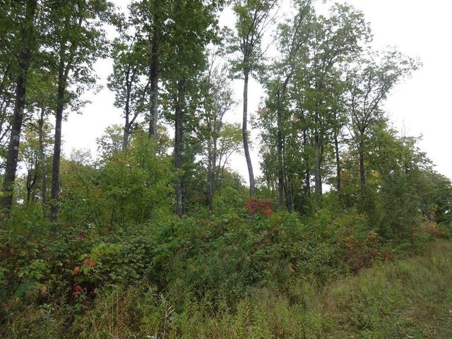 Near Half Mile Road, Herbster, WI 54844