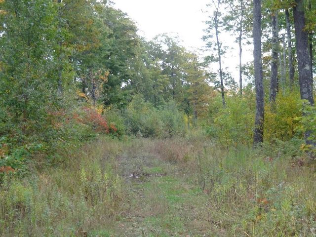 Near Half Mile Road, Herbster, WI 54844