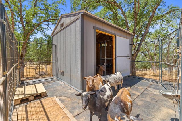 3520 White Oak Ridge Rd, Placerville, CA 95667