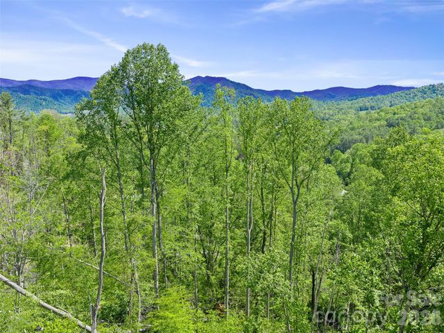615 Fred Sparks Road, Bakersville, NC 28705