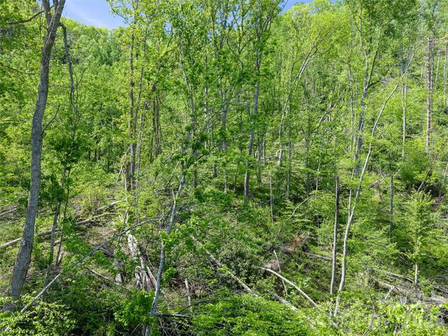 615 Fred Sparks Road, Bakersville, NC 28705