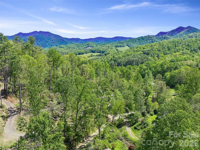615 Fred Sparks Road, Bakersville, NC 28705