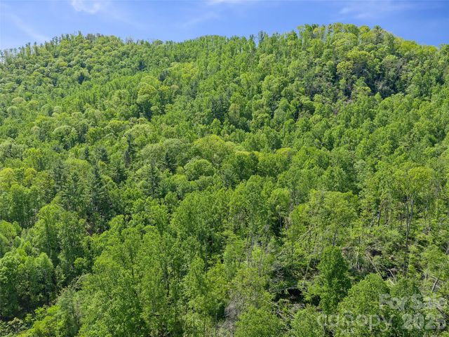 615 Fred Sparks Road, Bakersville, NC 28705