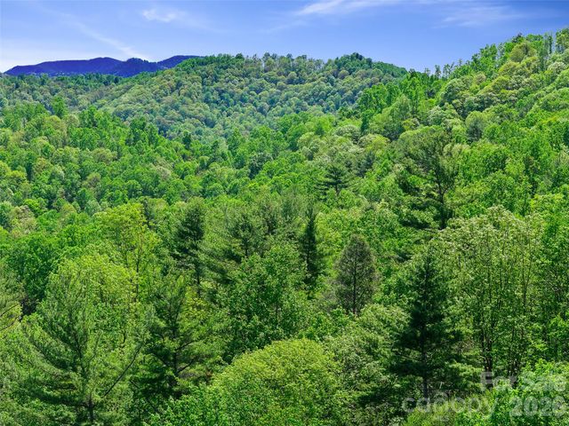615 Fred Sparks Road, Bakersville, NC 28705
