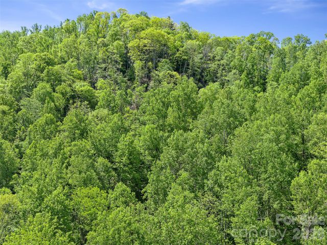 615 Fred Sparks Road, Bakersville, NC 28705