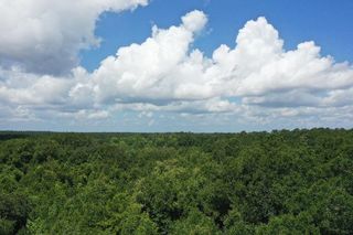 XX S Lanier Road, Havana, FL 32333