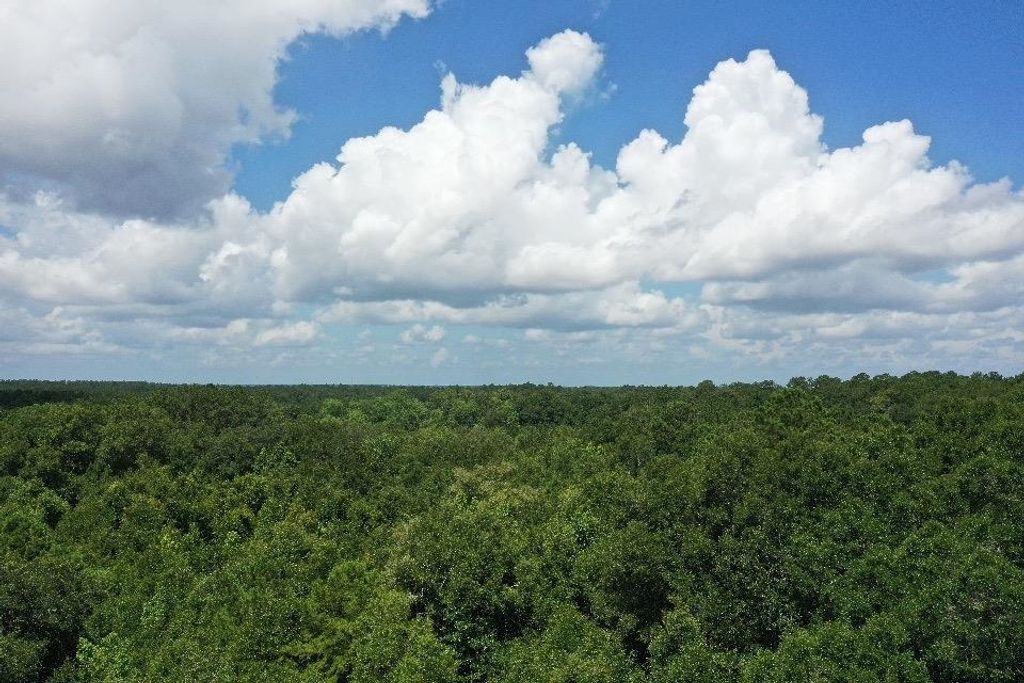 XX S Lanier Road, Havana, FL 32333