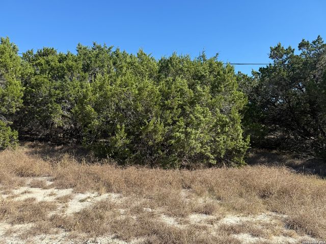 1503 Lake, Spring Branch, TX 78070