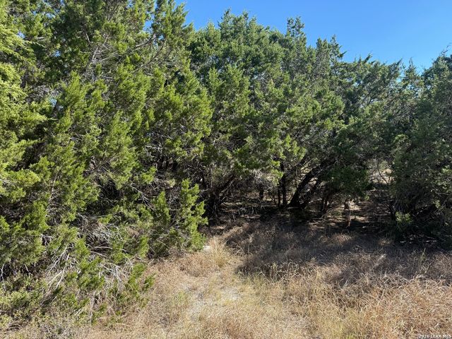 1503 Lake, Spring Branch, TX 78070