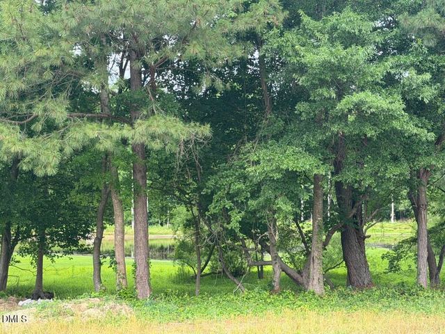 2509 Rosslare Pond Trail, Wendell, NC 27591