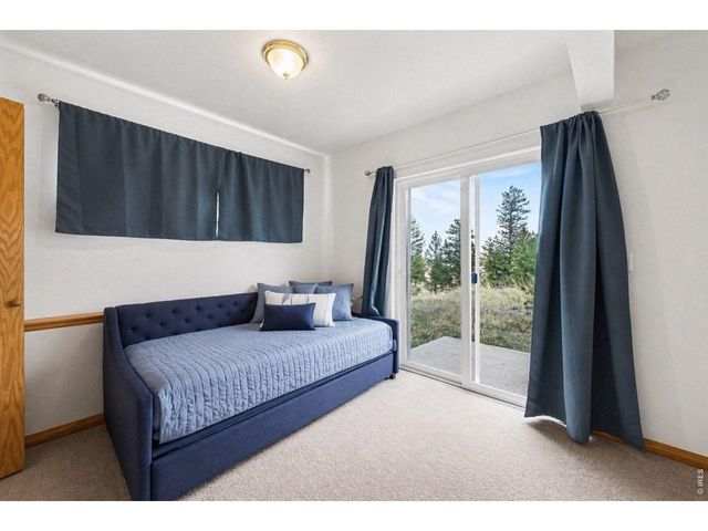 370 Lone Pine Creek Dr, Red Feather Lakes, CO 80545