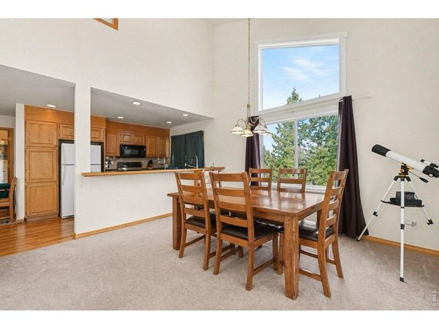 370 Lone Pine Creek Dr, Red Feather Lakes, CO 80545