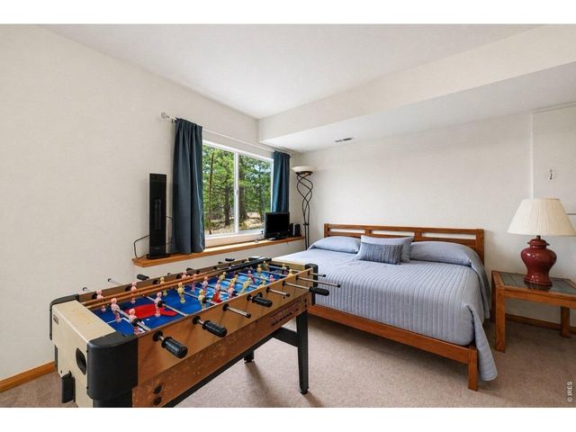 370 Lone Pine Creek Dr, Red Feather Lakes, CO 80545