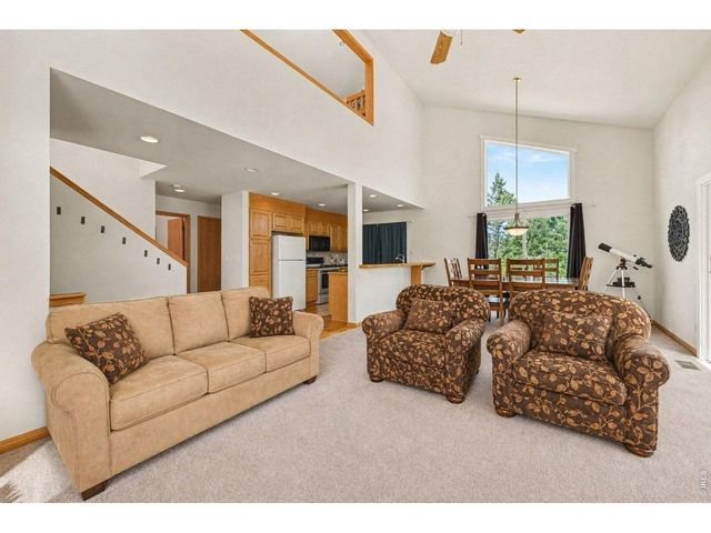 370 Lone Pine Creek Dr, Red Feather Lakes, CO 80545