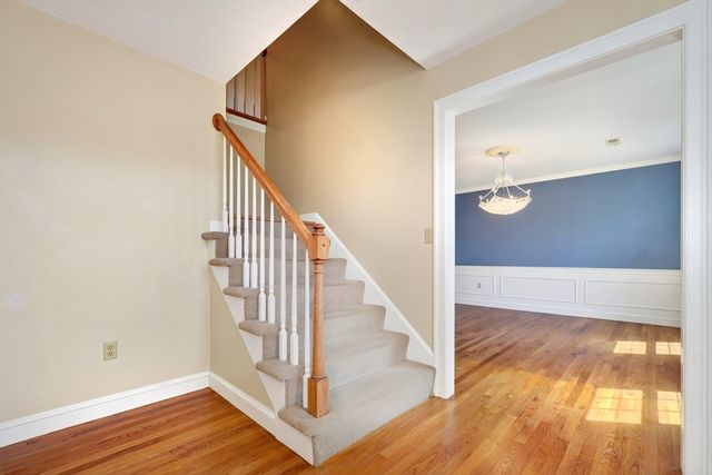 8 Saddle Way, Walpole, MA 02081