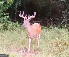 0 Abbeville Highway, Pineview, GA 31036