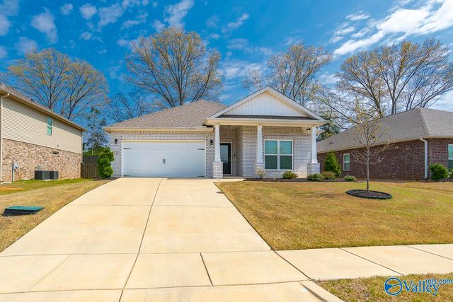 125 River Springs Court, New Market, AL 35761