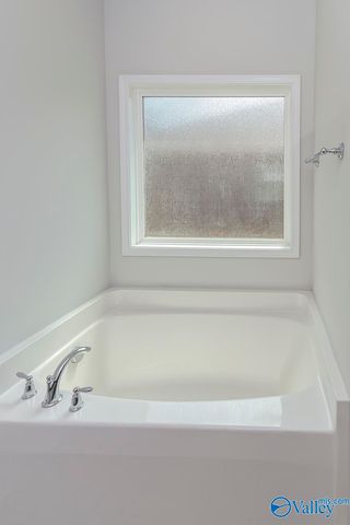 125 River Springs Court, New Market, AL 35761