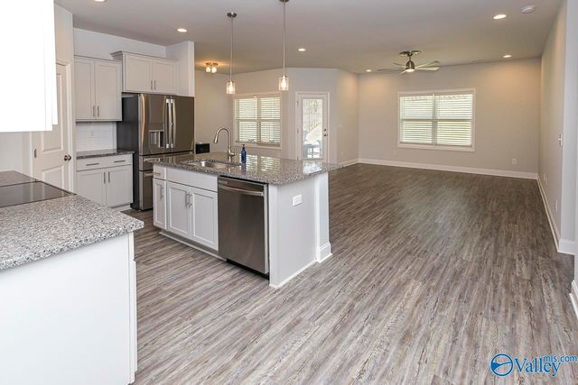 125 River Springs Court, New Market, AL 35761