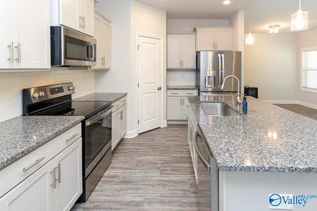 125 River Springs Court, New Market, AL 35761