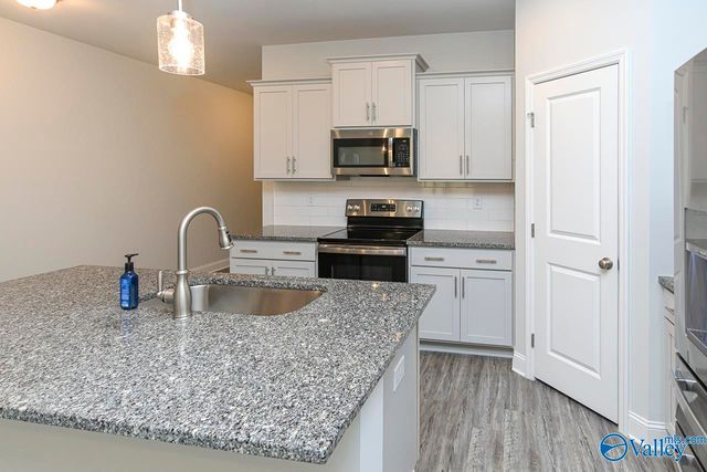 125 River Springs Court, New Market, AL 35761