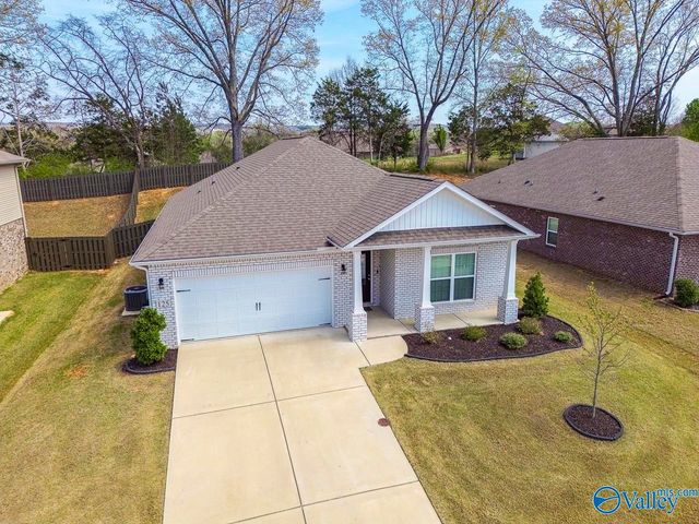 125 River Springs Court, New Market, AL 35761