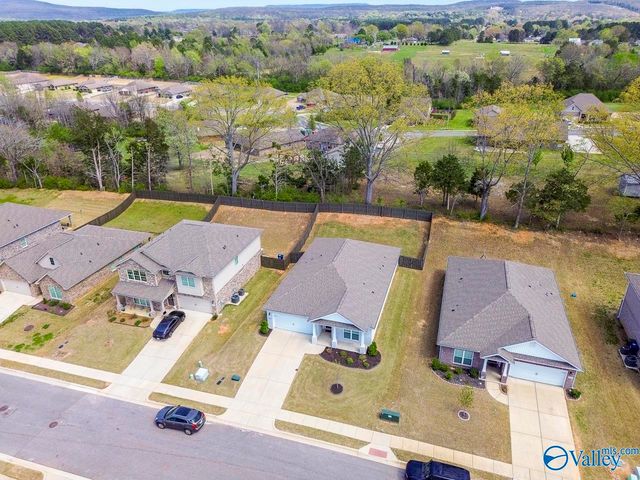 125 River Springs Court, New Market, AL 35761