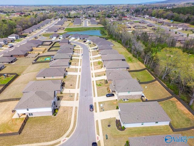 125 River Springs Court, New Market, AL 35761