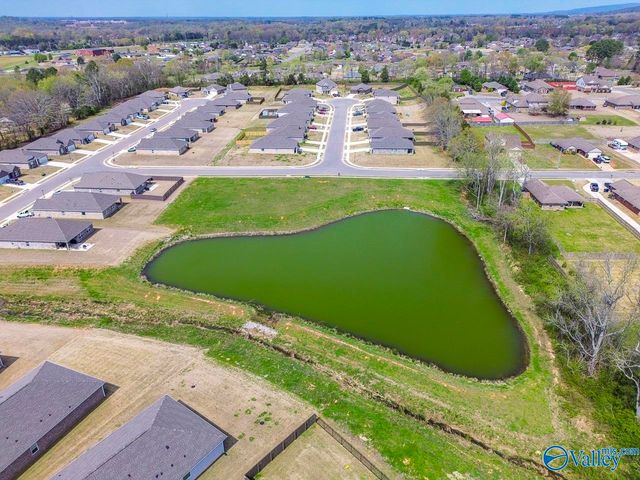 125 River Springs Court, New Market, AL 35761