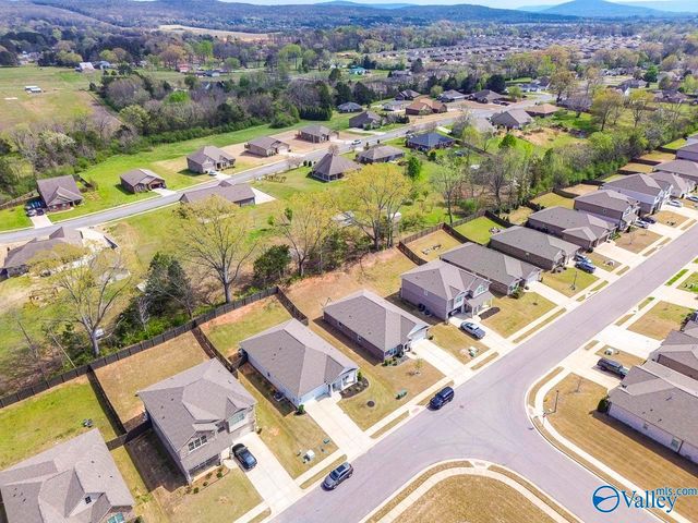 125 River Springs Court, New Market, AL 35761