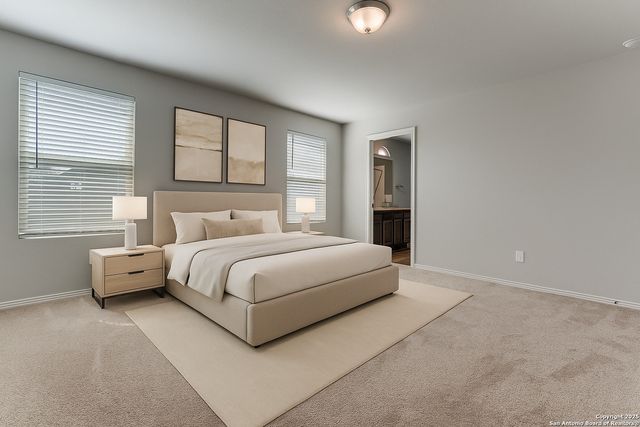 9010 Halbert Falls, San Antonio, TX 78245