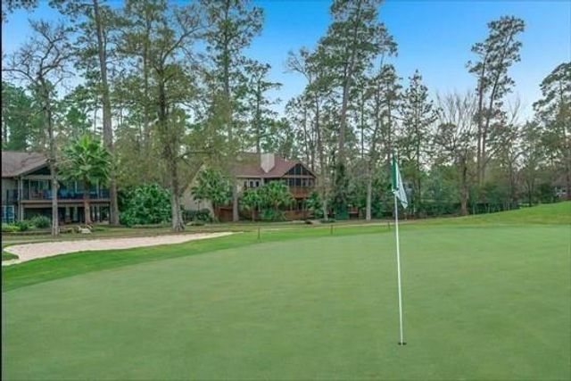 8 Buttonbush Court, The Woodlands, TX 77380