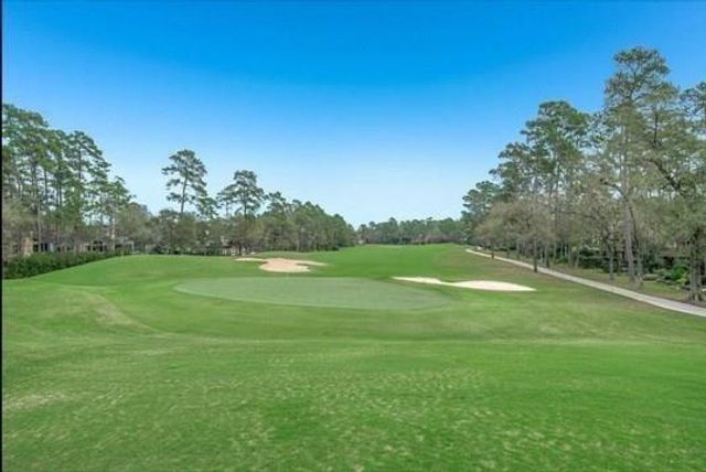 8 Buttonbush Court, The Woodlands, TX 77380
