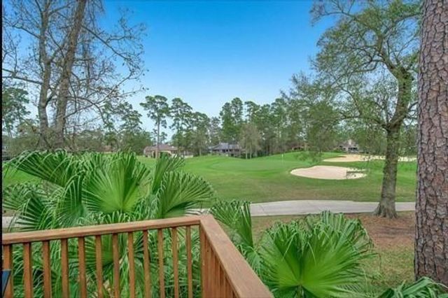 8 Buttonbush Court, The Woodlands, TX 77380