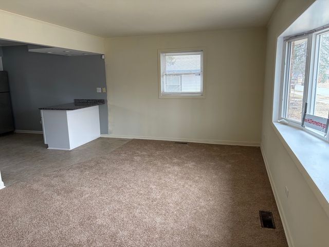 119 Well Street, Park Forest, IL 60466