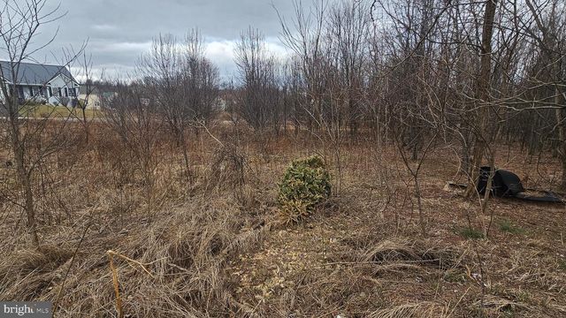 LOT 20 BUCHANAN DRIVE, Mercersburg, PA 17236