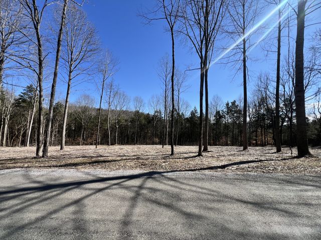 0 Bedford Lake Rd, Shelbyville, TN 37160