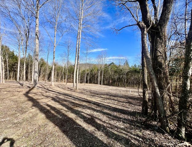 0 Bedford Lake Rd, Shelbyville, TN 37160