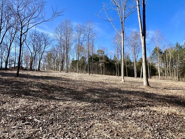 0 Bedford Lake Rd, Shelbyville, TN 37160