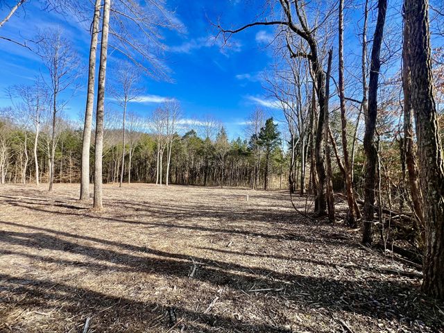 0 Bedford Lake Rd, Shelbyville, TN 37160